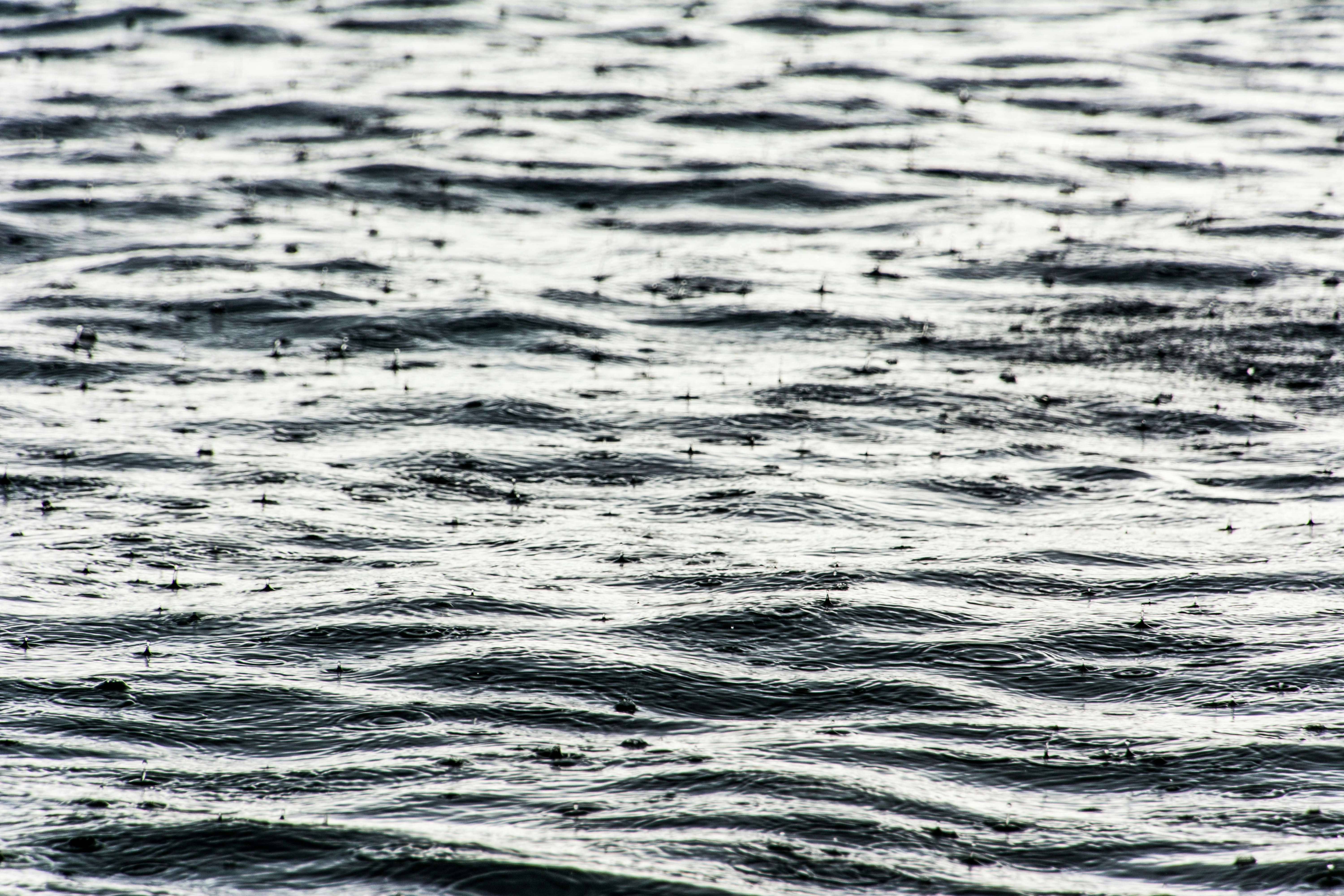 Cruise wedding rain plan: simple backup flow that still looks premium