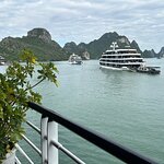 Aspira Cruise review by Lorraine