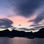 Aspira Cruise review by Mohammed